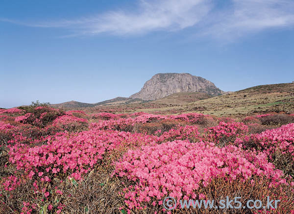 한라산