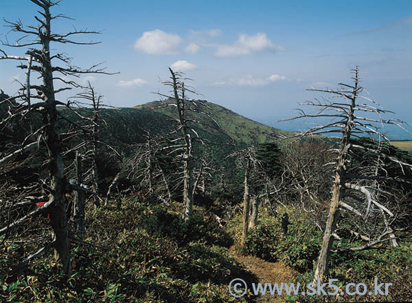 한라산