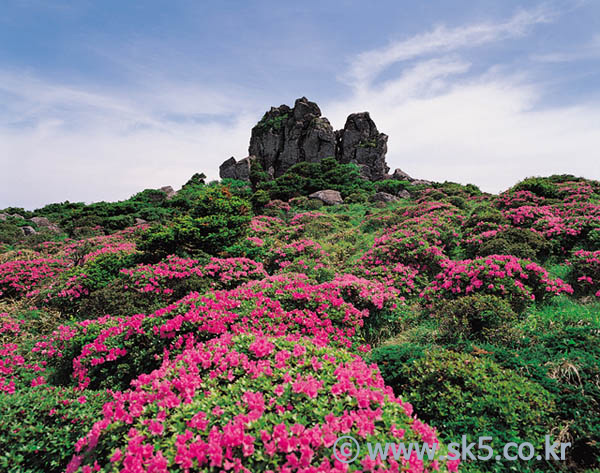 한라산