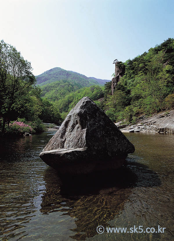 구천동학소대