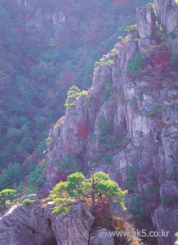 대둔산