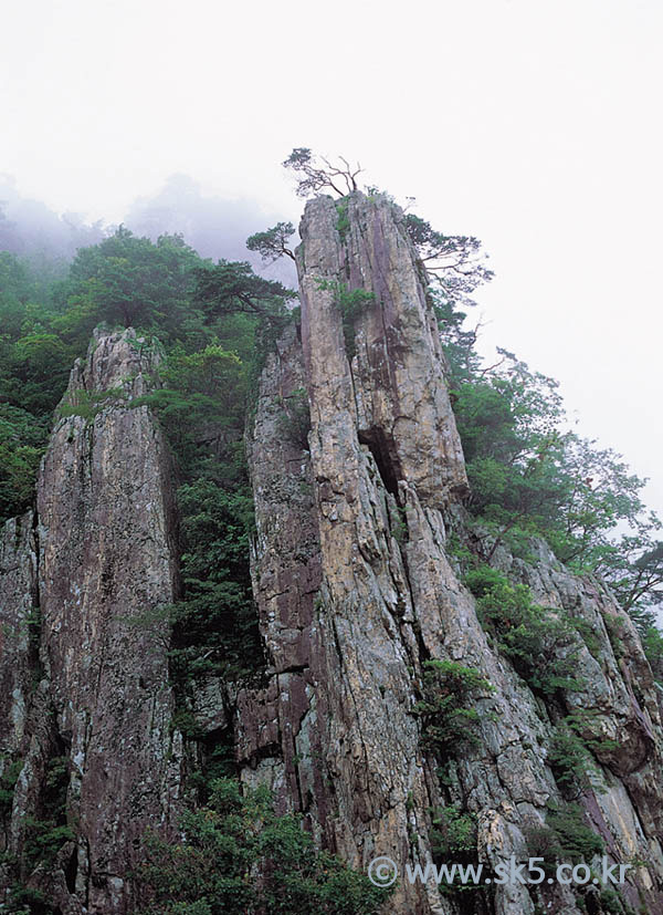 대둔산