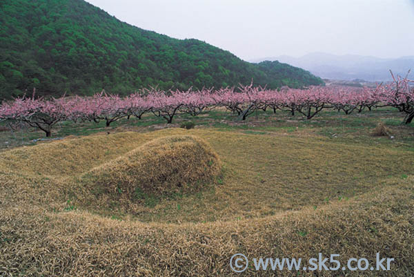 산소